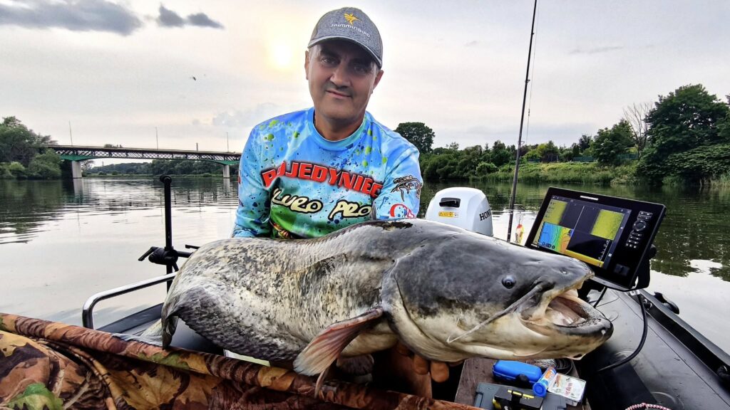 Łowienie sumów z pontonu